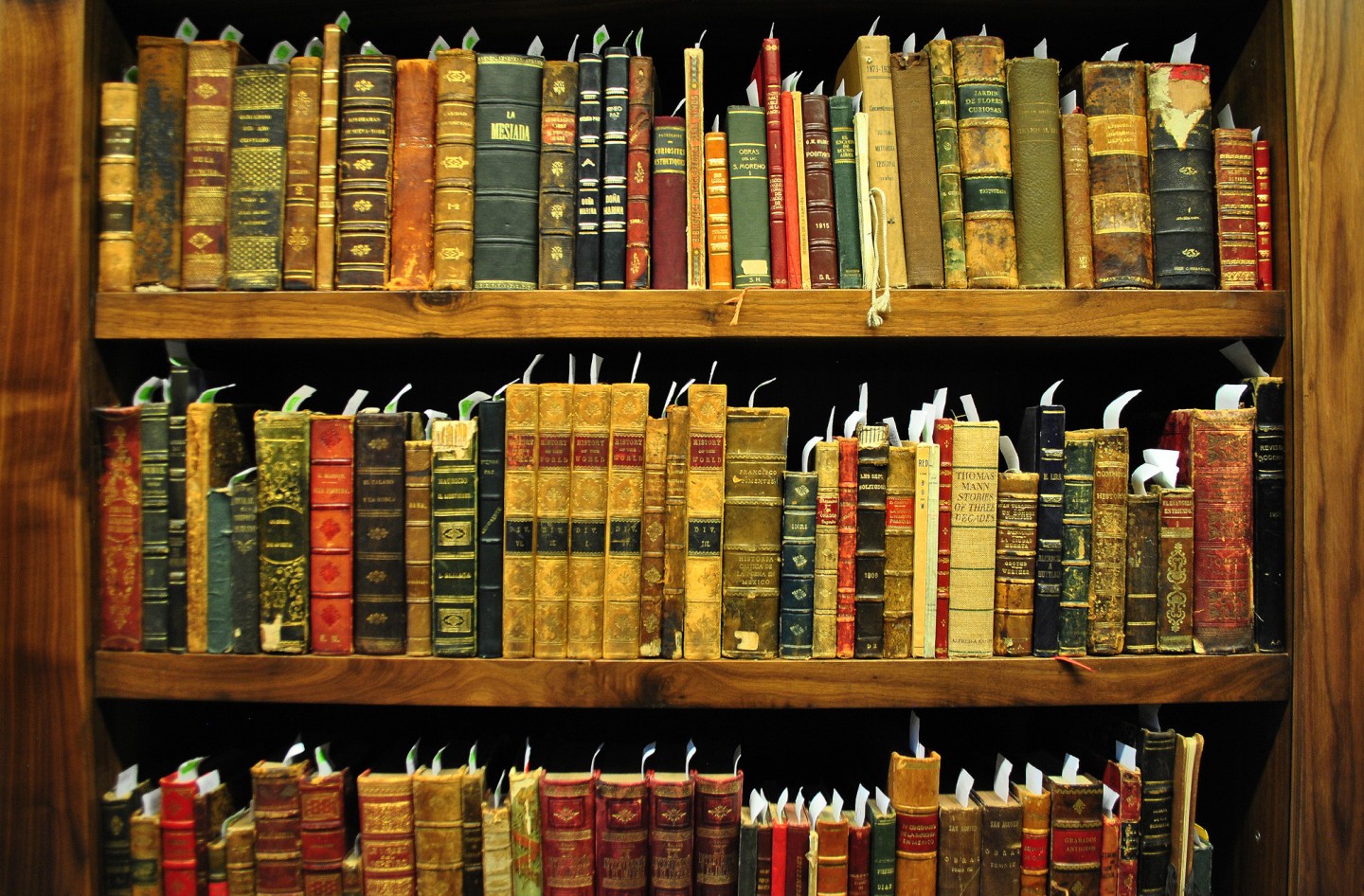 Biblioteca bella storia