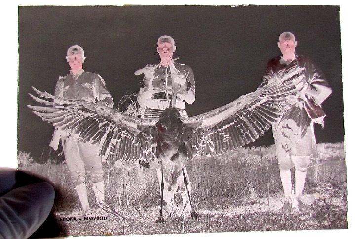 Per la Giornata del Rifugiato – Negoziare l’Amnesia e Radio Ghetto: due cortometraggi di Alessandra Ferrini su Memorie e Presenti Coloniali